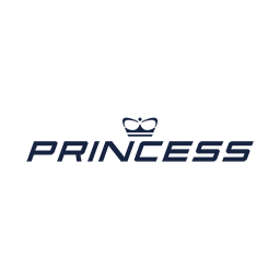 princess yachts international plc